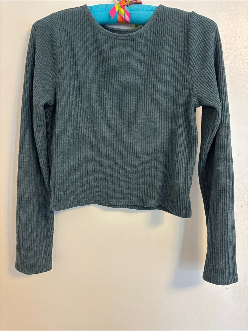 Ribbed Long-Sleeve Crew Crop Top in Slate Teal